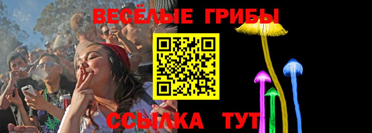 что такое наркотик  Псилоцибиновые грибы Psilocybine cubensis  Вход с VPN  Нижний Тагил 